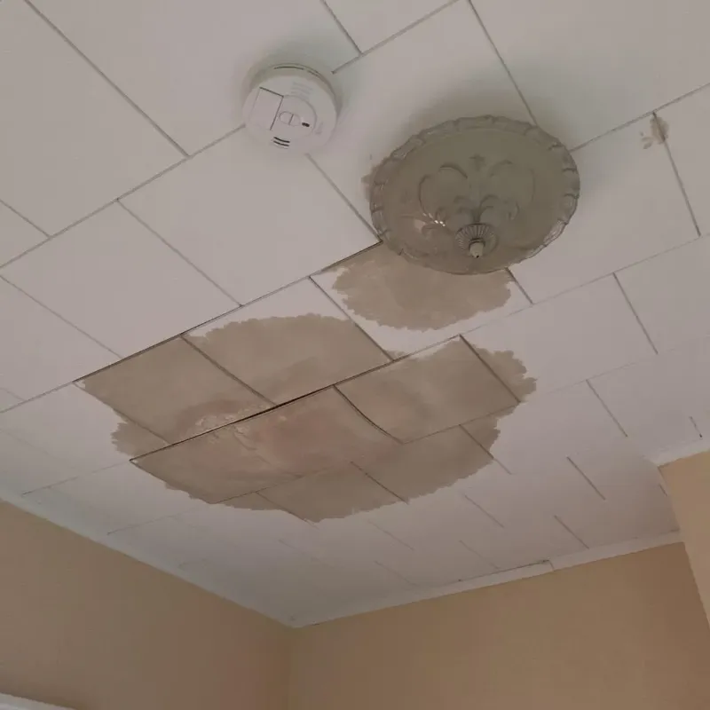 Ceiling Water Damage Repair in Creve Coeur, MO